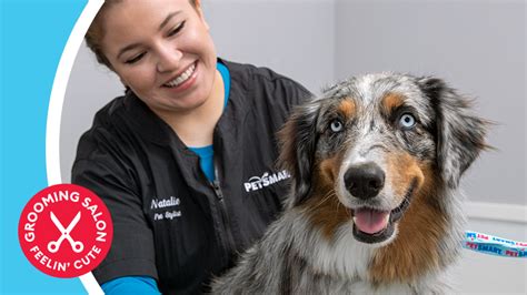 petsmart dog grooming school|petsmart grooming booking.